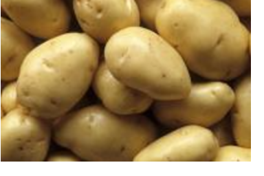generic_image_one